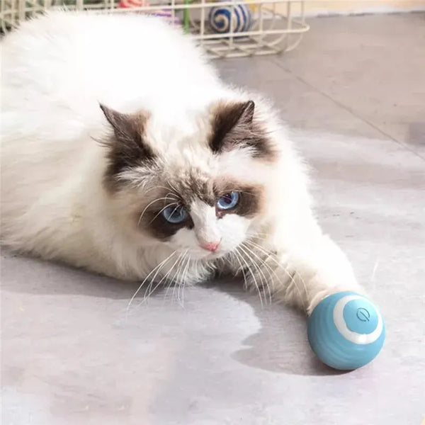 Interactive Electric Cat Ball