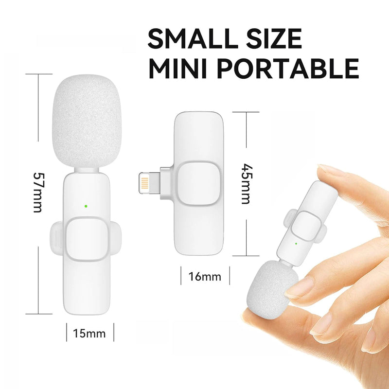 The Portable Mini Mic