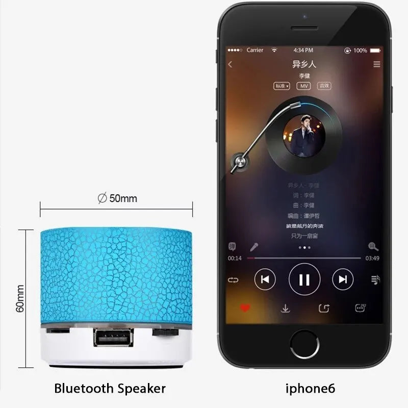 Bluetooth Mini Speaker