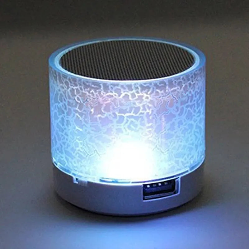 Bluetooth Mini Speaker