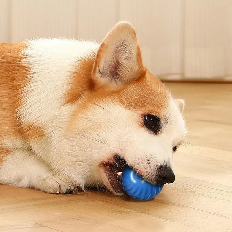 Interactive Dog Toy Ball