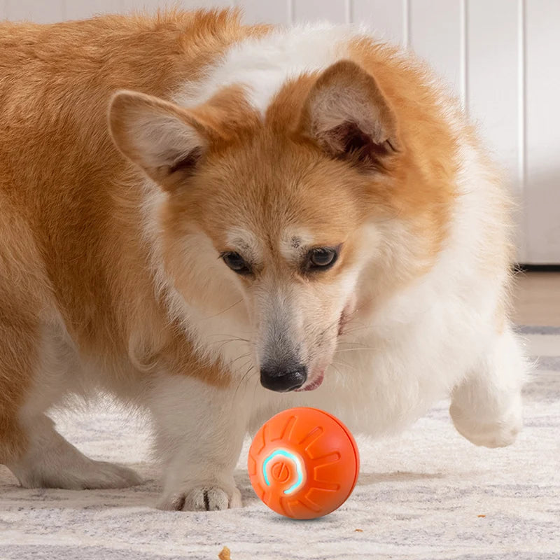 Interactive Dog Toy Ball