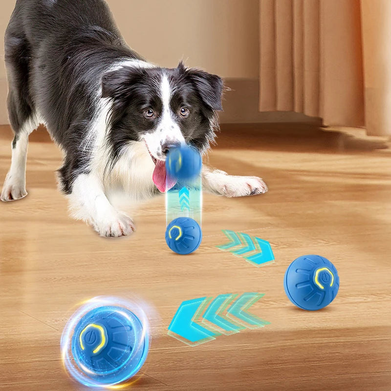 Interactive Dog Toy Ball