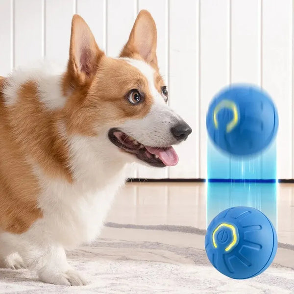 Interactive Dog Toy Ball